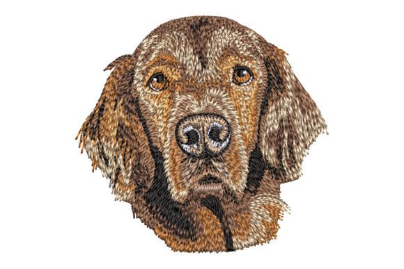 Irish Setter Embroidery Review